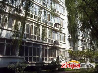 石家庄八一小区爆料视频,揭秘小区内幕事件